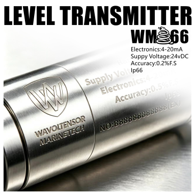 WM66 投入式液位变送器