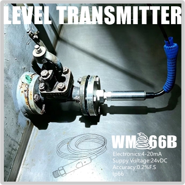 WM66-B flange version for fuel tanks
